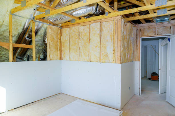 Best Eco-Friendly Insulation in Pine Grove, CA