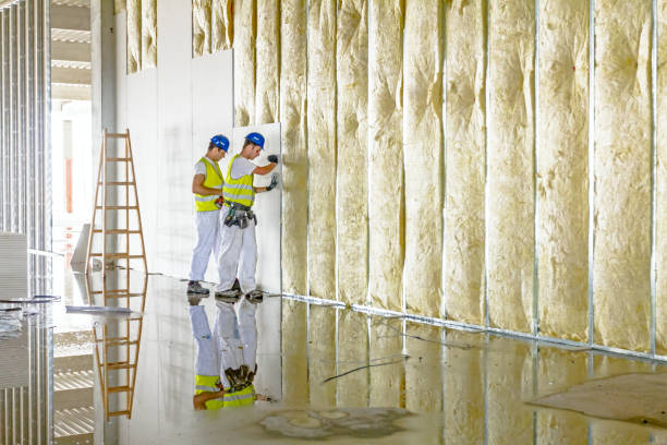 Best Residential Insulation in Pine Grove, CA